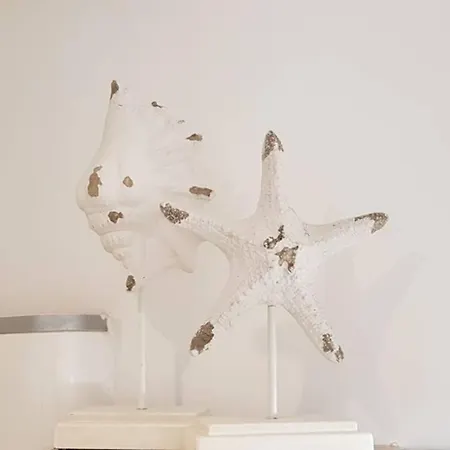 Magnifique En Rdc Cour Sans Vis à Vis 5mn Appartement *