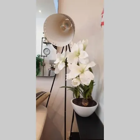 Magnifique En Rdc Cour Sans Vis à Vis 5mn Appartement *